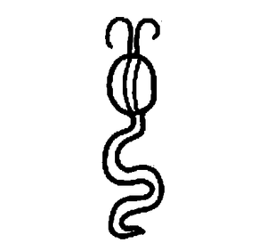 num